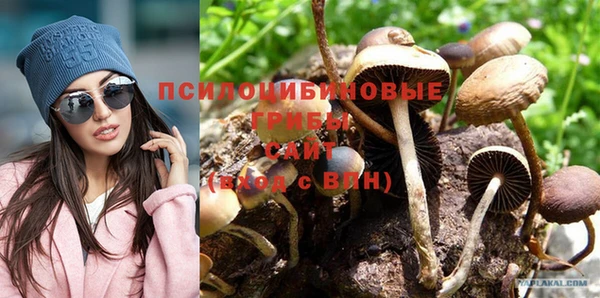 кокс Абинск
