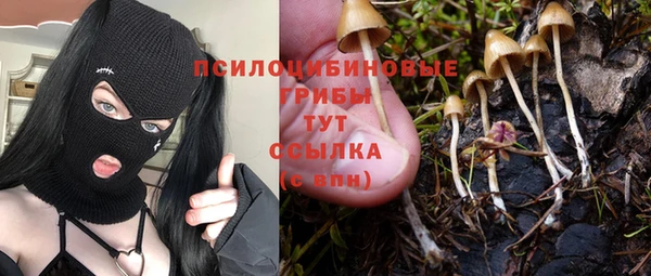 apvp Абаза