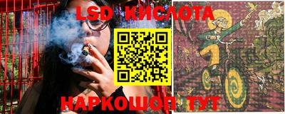хмурый Кудрово