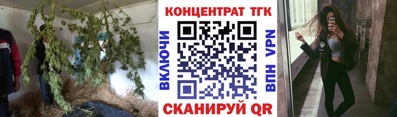 мориарти как зайти  как найти наркотики  Курчатов  Дистиллят ТГК концентрат 